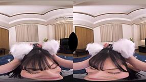 cat's gratitude - beloved lulu-nyan repays master in human form