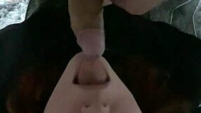 Does My Obedient Bitch Love Sucking This Cock?