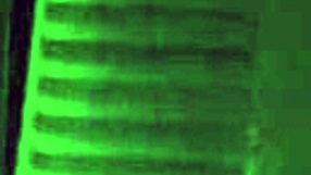 curvy latina making jiggles with her big ass 😍