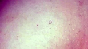 I caught my teen 18+ stepsister masturbating and helped with doggystyle cum.