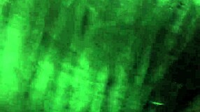 i enter the room and force her to fuck