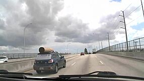 Males Engaging in Homosexual Activities Together