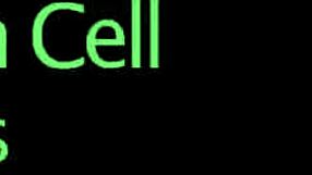 Flirty centerfold gets jizz load on her face gulping all the charge