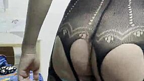 transexual kitten is hot