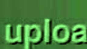 Amateurs share their bustu879 experiences in a casual conversation.