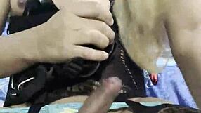 transexual kitten is hot