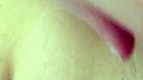 Amateurs share their bustu879 experiences in a casual conversation.