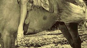 Dark Lantern Entertainment Presents Beauty And The Beast In Retro Vintage Style