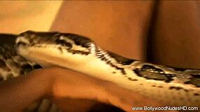 why not undress and dance sensually for me?