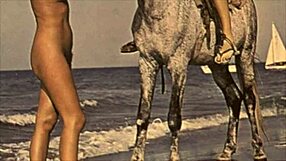 Dark Lantern Entertainment Presents Beauty And The Beast In Retro Vintage Style