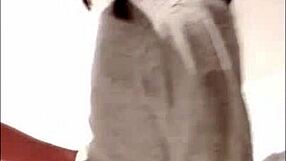 i can't believe step-mom sucked me dry for gf