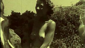 Dark Lantern Entertainment Presents Beauty And The Beast In Retro Vintage Style