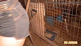Ed junior fucks a young girl bareback in the farm henhouse