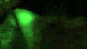 Feeling the intense pleasure of black blowjob leading to mouthful cumshot