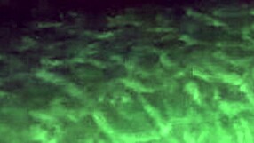 Is Cris Screaming for Big Dick?