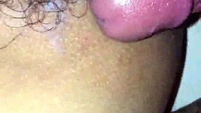 I fucked my prima in lingerie when no ones home, creampie stylee