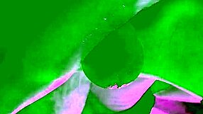 Want to see my homemade footjob fantasy? I'll stroke your cock with my feet!