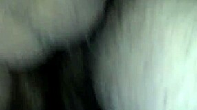 giving backshots and creampie in tight pussy