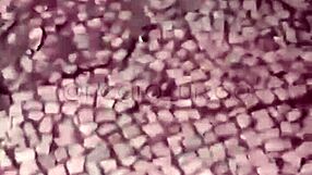 Orgy with young guys on madureira street