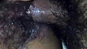 I fucked my prima in lingerie when no ones home, creampie stylee