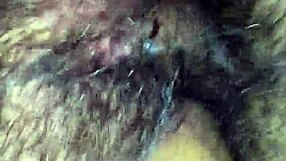 I fucked my prima in lingerie when no ones home, creampie stylee