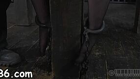 Pretty Honey Gets Facial After Hardcore Bondage and Cock Sucking