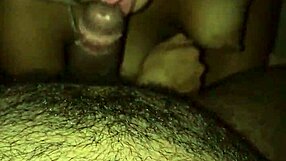 mechi putita tj gets fucked mexican style