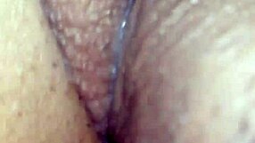 Close Up Real Sex With Piercing