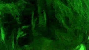 Jessica Gets Fucked by Big Rory