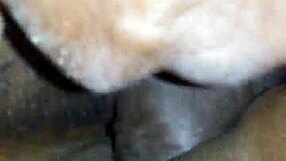 Fat Retro Pussy Takes Big Black Cock