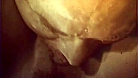 Dark Lantern Entertainment brings steamy retro porn with hairy beaver action. Vintage fucking at its finest!