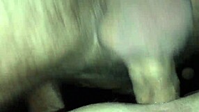 Gay Fucked Bareback In Hotel?