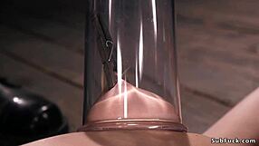 Hairy Pussy Brunette Tits Tormented