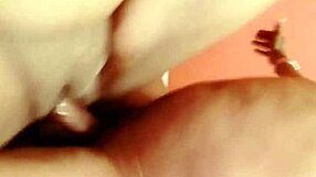 sundaydogood614 shares update 121 video from march 29