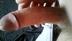 lisandro clerici saltalamacchia