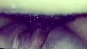 horny latina fan begs for bareback creampie cumshot in her big tits