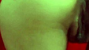 Horny Amateur Couple's Wild Hardcore Sex