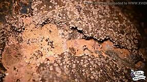 novinha se masturbando na praia com big ass orgasm and squirting