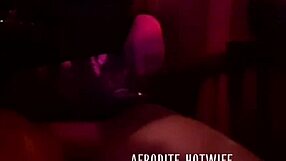 afroditerj com balada paulista