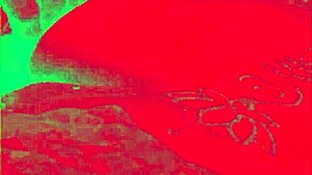 i spread my big ass in lingerie for anal and oral pleasure with caroleta roots