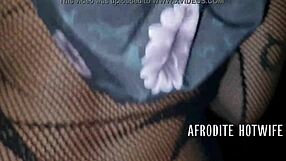 afroditerj com balada paulista