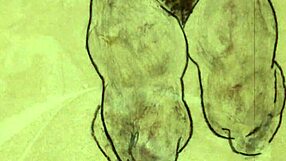 Discover Vintage Erotic Art From Retro Cartoons And Anime?