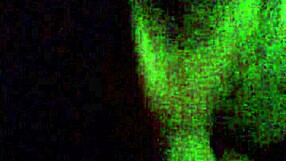 Sashaa Legend's Tempting Blowjob for Her Husband