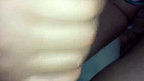 novim safado blowjob