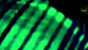 third part with yorgelis kent and erika schwarzenberg.