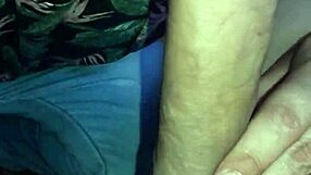 novim safado blowjob