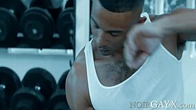 Two Hot Gay Dudes Hang Out In The Gym With Mateo Fernandez And Zario Travez