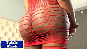 Black Bigass Tranny Solo Fingers Her Tight Hole Hard