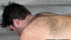 Horny Gay Bear Roughly Assfucking Otter