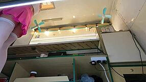 This crazy girl doesnt mind to be upkisrted at work for extra money